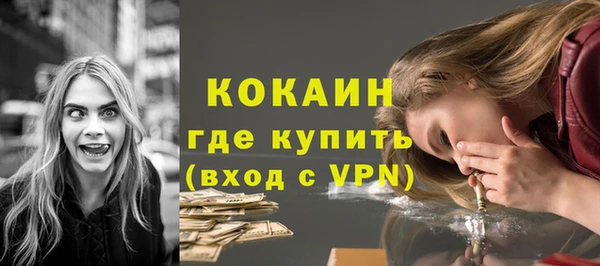 кокс Богородицк